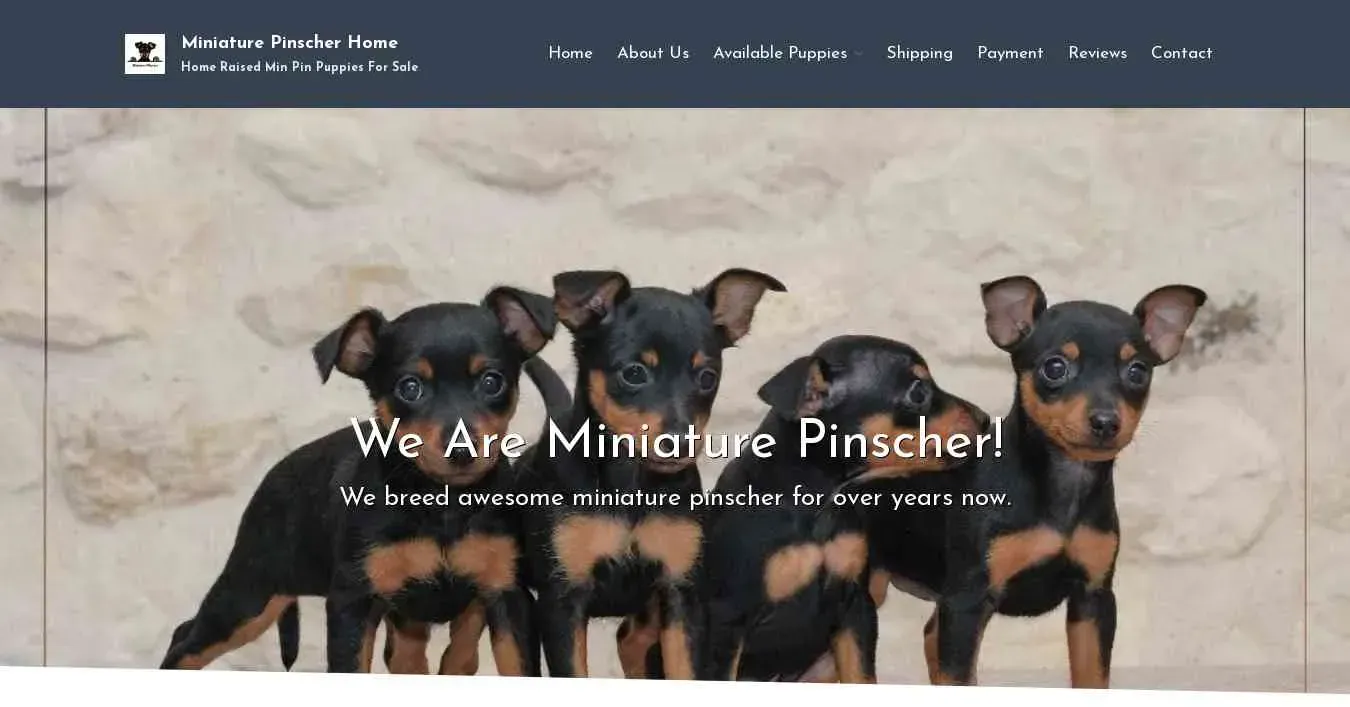 is miniaturepinscherhome.com legit? screenshot