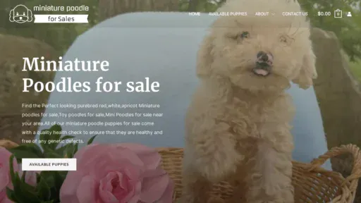 A screenshot of Miniaturepoodleforsales.com