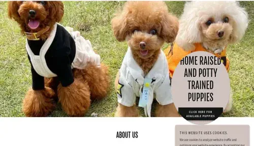 A screenshot of Genlanfamilystbernard.com