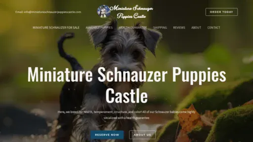 A screenshot of Miniatureschnauzerpuppiescastle.com