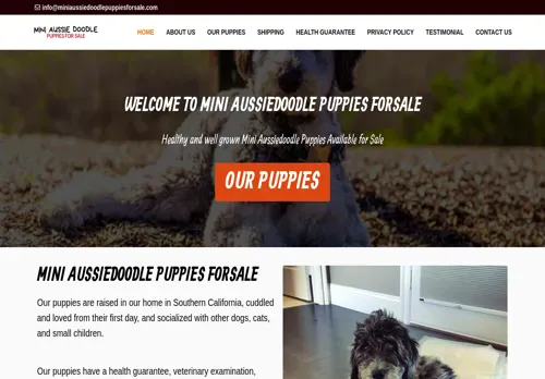 is miniaussiedoodlepuppiesforsale.com legit? screenshot