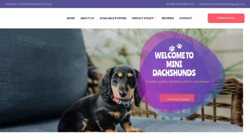A screenshot of Minidachahundpupsforsale.com