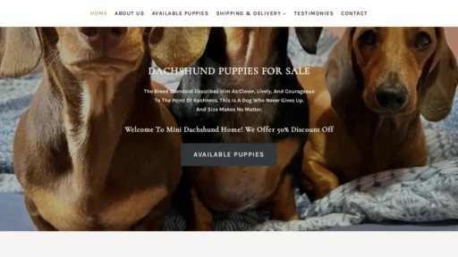 A screenshot of Minidachshundhomes.com
