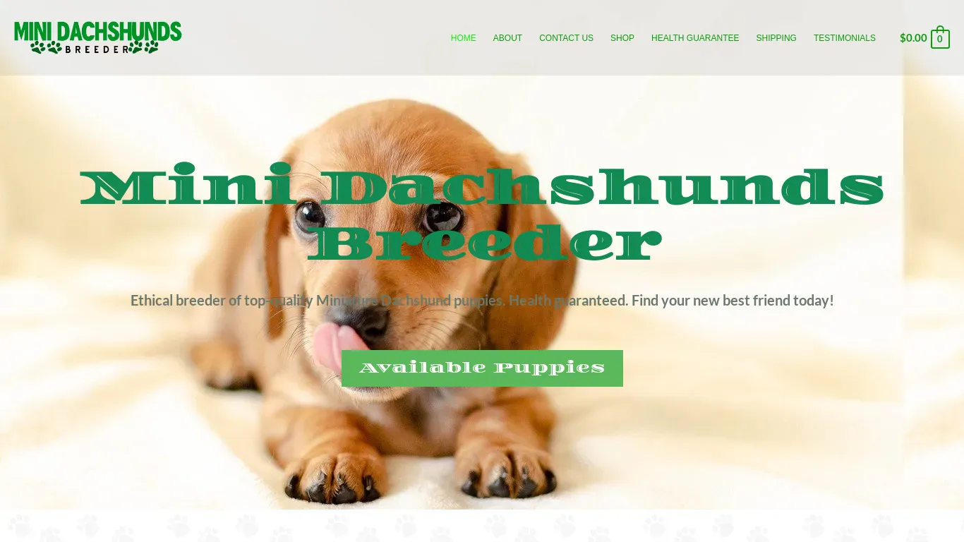 is minidachshundsbreeder.com legit? screenshot