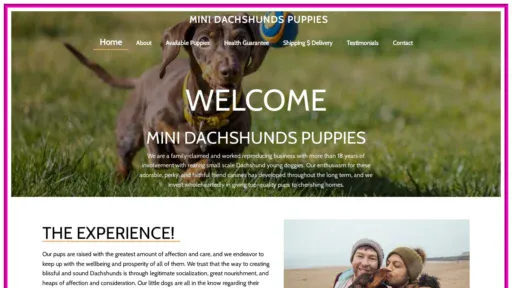 A screenshot of Minidachshundspuppies.com