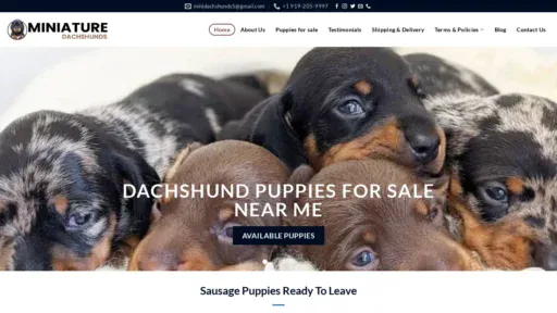 A screenshot of Minidappledachshundpuppies.com