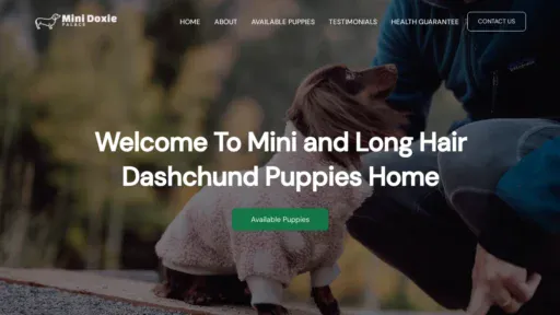 A screenshot of Minidoxiepalace.com