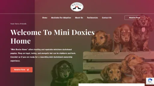 A screenshot of Minidoxies.net