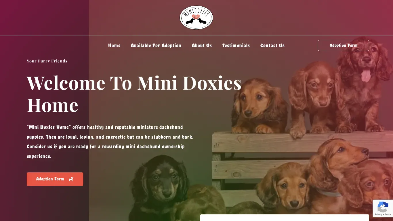is minidoxies.net legit? screenshot