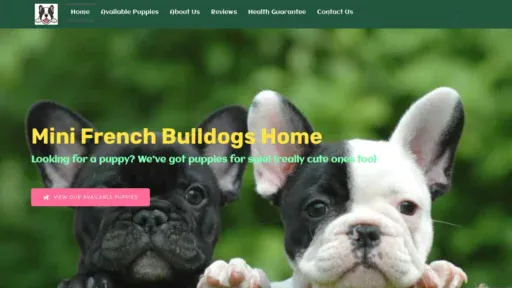 A screenshot of Minifrenchbulldogshome.com