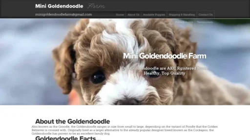 A screenshot of Minigoldendoodlefarm.com