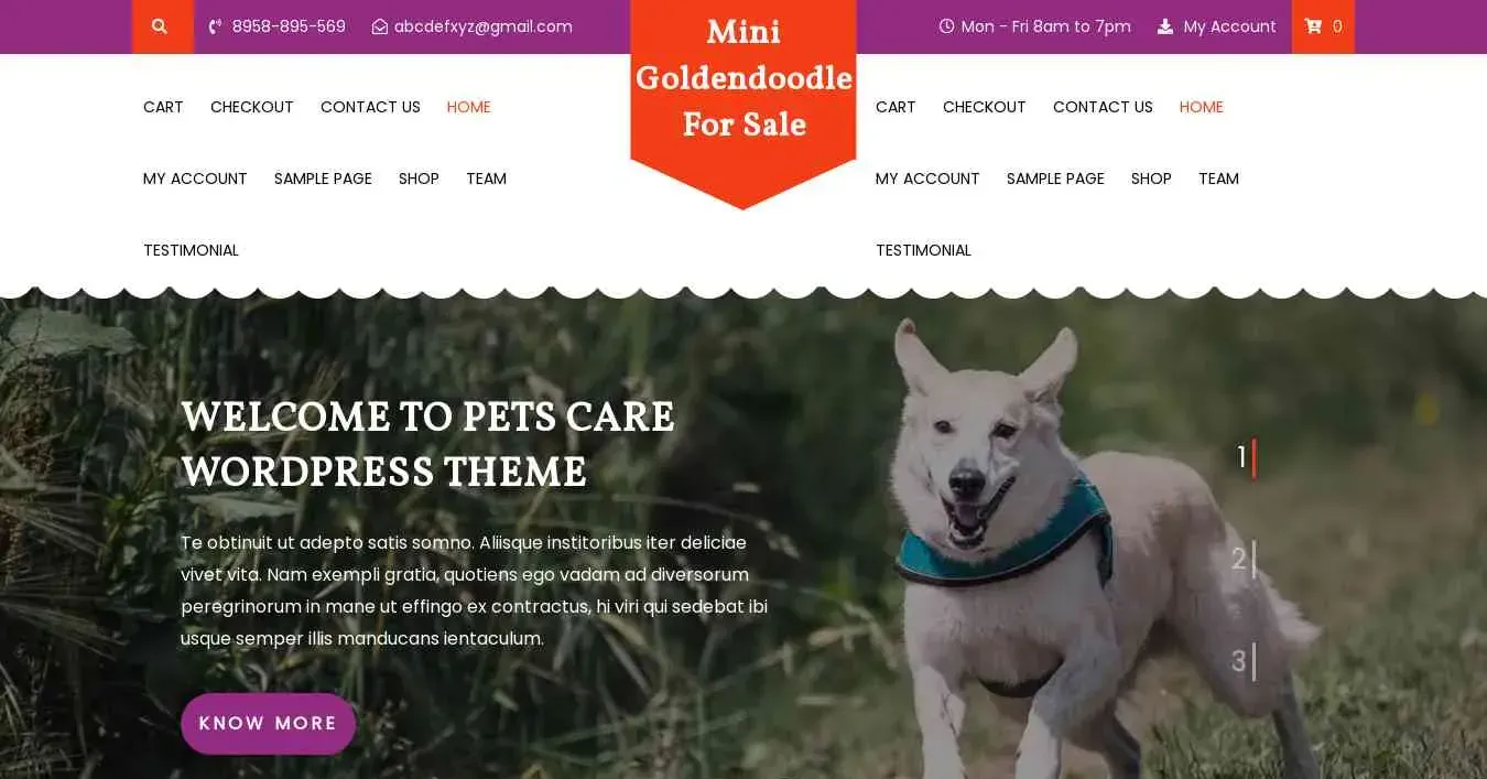 is minigoldendoodleforsale.com legit? screenshot