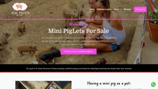 A screenshot of Minipigletsforsale.com