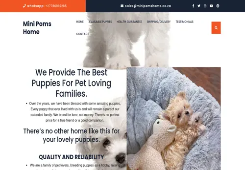 is minipomshome.co.za legit? screenshot