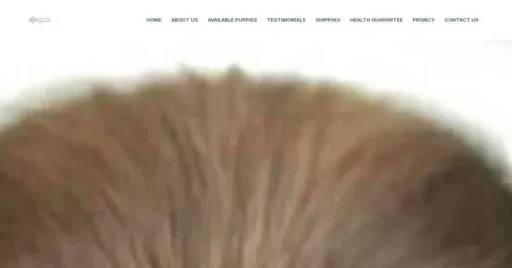 A screenshot of Genlanfamilystbernard.com
