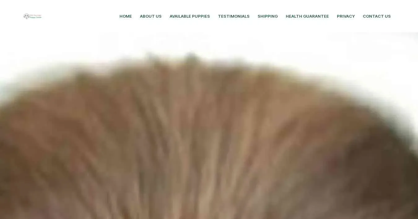 is minisausagepuppycorner.com legit? screenshot