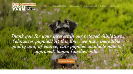 A screenshot of Minischnauzerpuppiesfarm.com