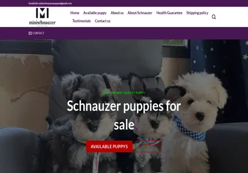 is minischnauzerpuppys.com legit? screenshot