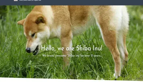 A screenshot of Genlanfamilystbernard.com