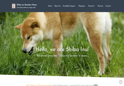 is minishibainunearme.com legit? screenshot