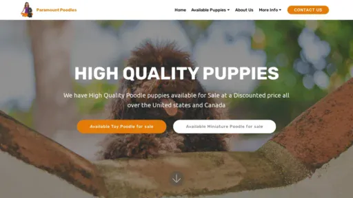 A screenshot of Minitoypoodlesforsale.com