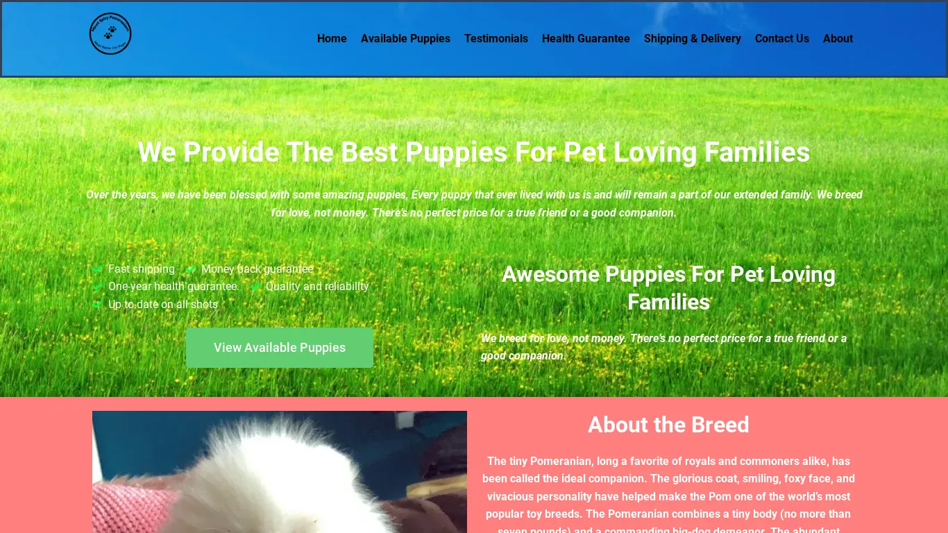 is minotspicypomeranians.com legit? screenshot