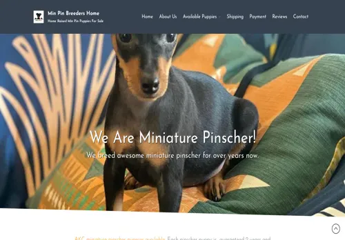 is minpinnearme.com legit? screenshot