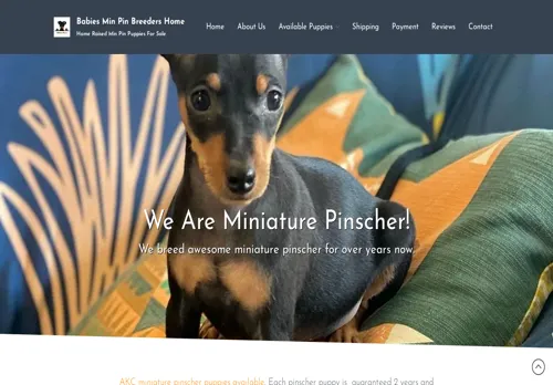 is minpinpups.com legit? screenshot