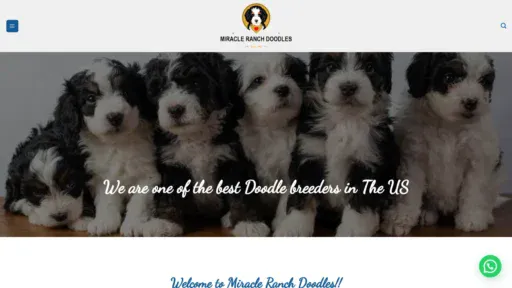 A screenshot of Miracleranchdoodles.com