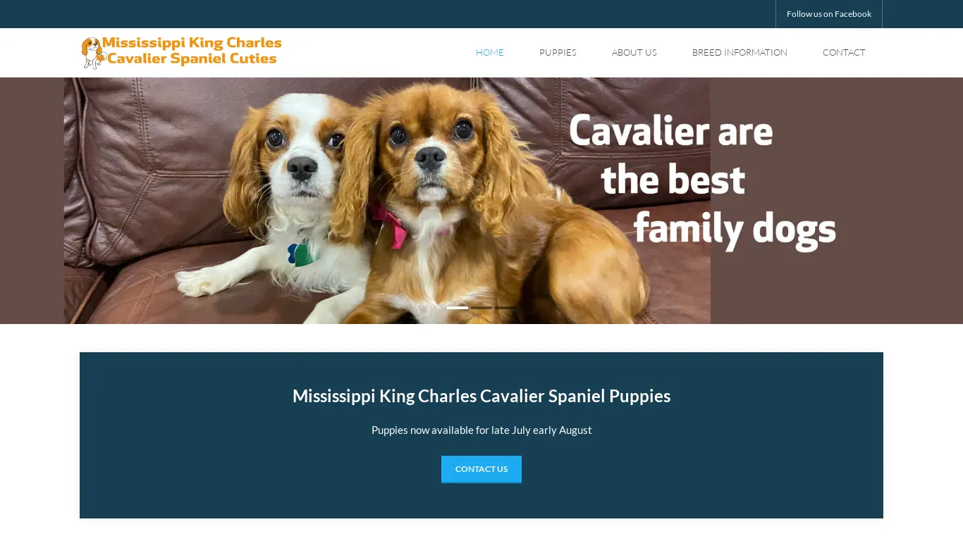 is mississippicavaliers.com legit? screenshot