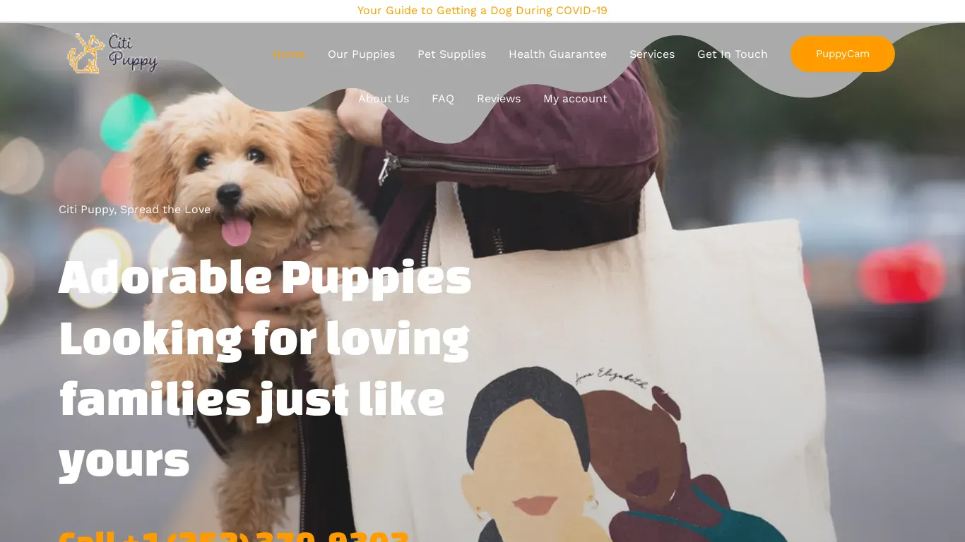 is mississippimaltipoo.com legit? screenshot