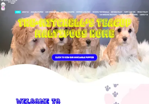 is mitchellsteacupmaltipoos.com legit? screenshot