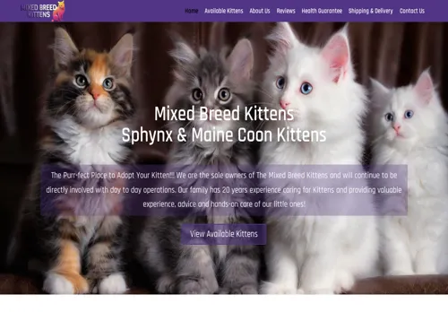 is mixedbreedkittens.com legit? screenshot
