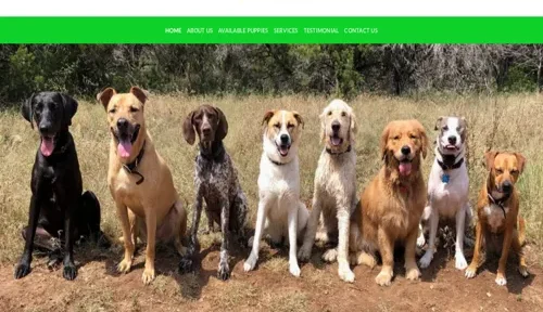 A screenshot of Genlanfamilystbernard.com