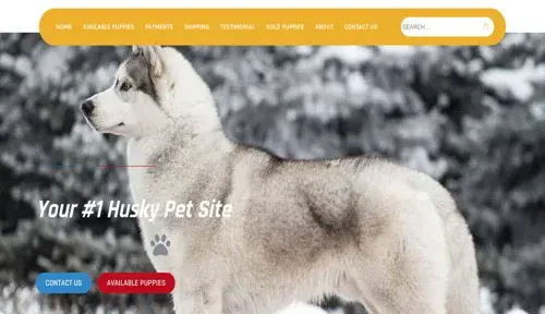 A screenshot of Genlanfamilystbernard.com