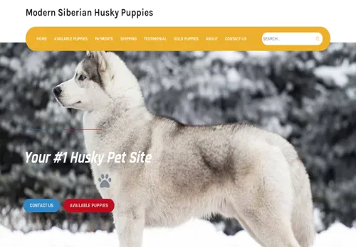 is modernsiberianhuskypuppies.com legit? screenshot