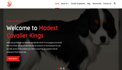 A screenshot of Genlanfamilystbernard.com