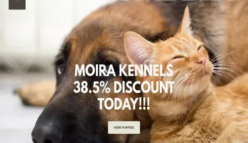 A screenshot of Genlanfamilystbernard.com