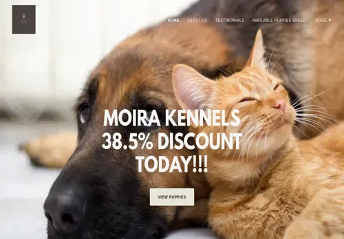 is moirakennels.co.za legit? screenshot