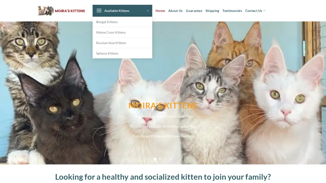 is moiraskittens.com legit? screenshot