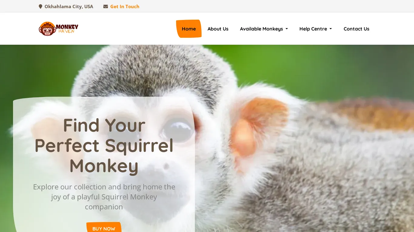 is Monkey Haven - Adorable Monkeys For Sale legit? screenshot