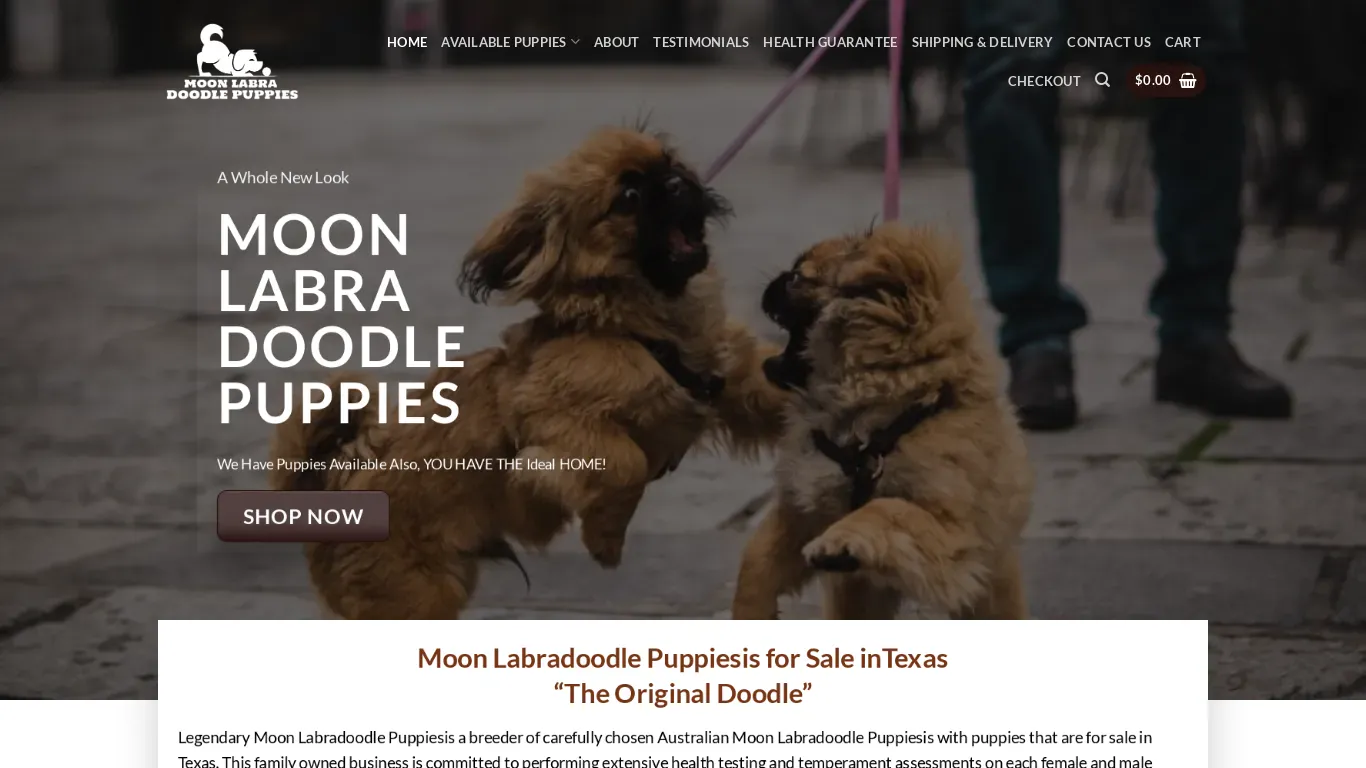 is moonlabradoodlepuppies – moonlabradoodlepuppies legit? screenshot