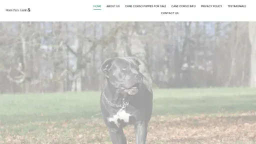 A screenshot of Moonpackgiants.com