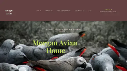 A screenshot of Morganavian.com