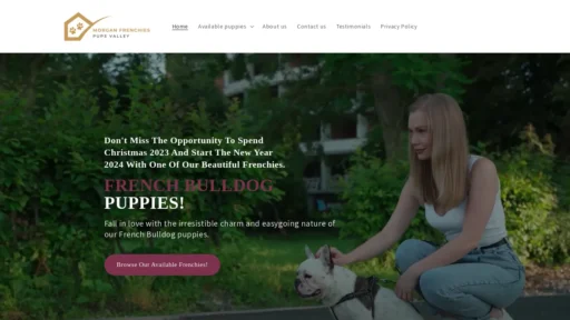 A screenshot of Morganfrenchies.com