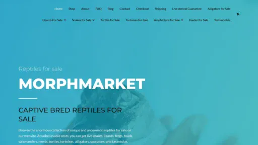A screenshot of Morphmarkets.com