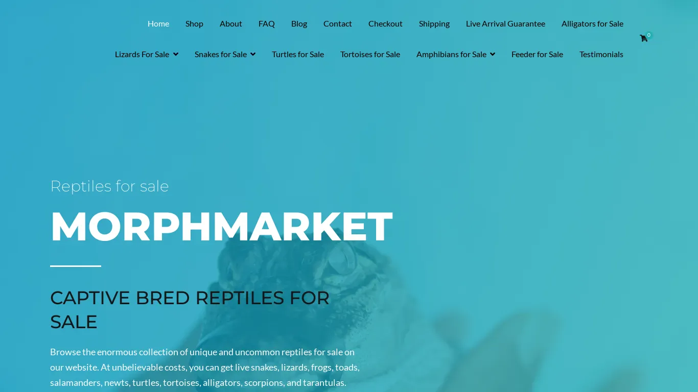 is Reptiles for Sale - Buy Exotic Reptiles Online legit? screenshot