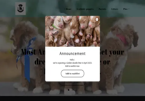 is mostamazingdoodles.com legit? screenshot