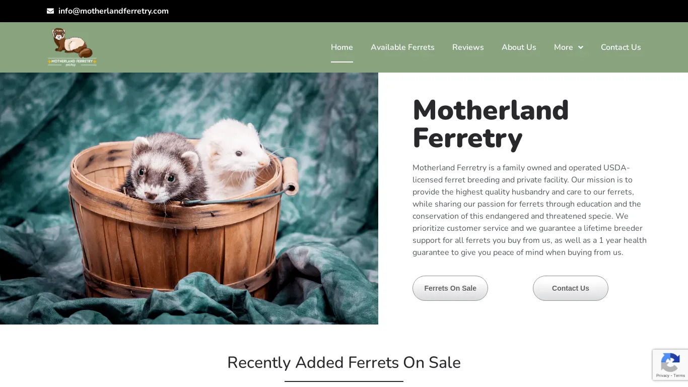 is motherlandferretry.com legit? screenshot