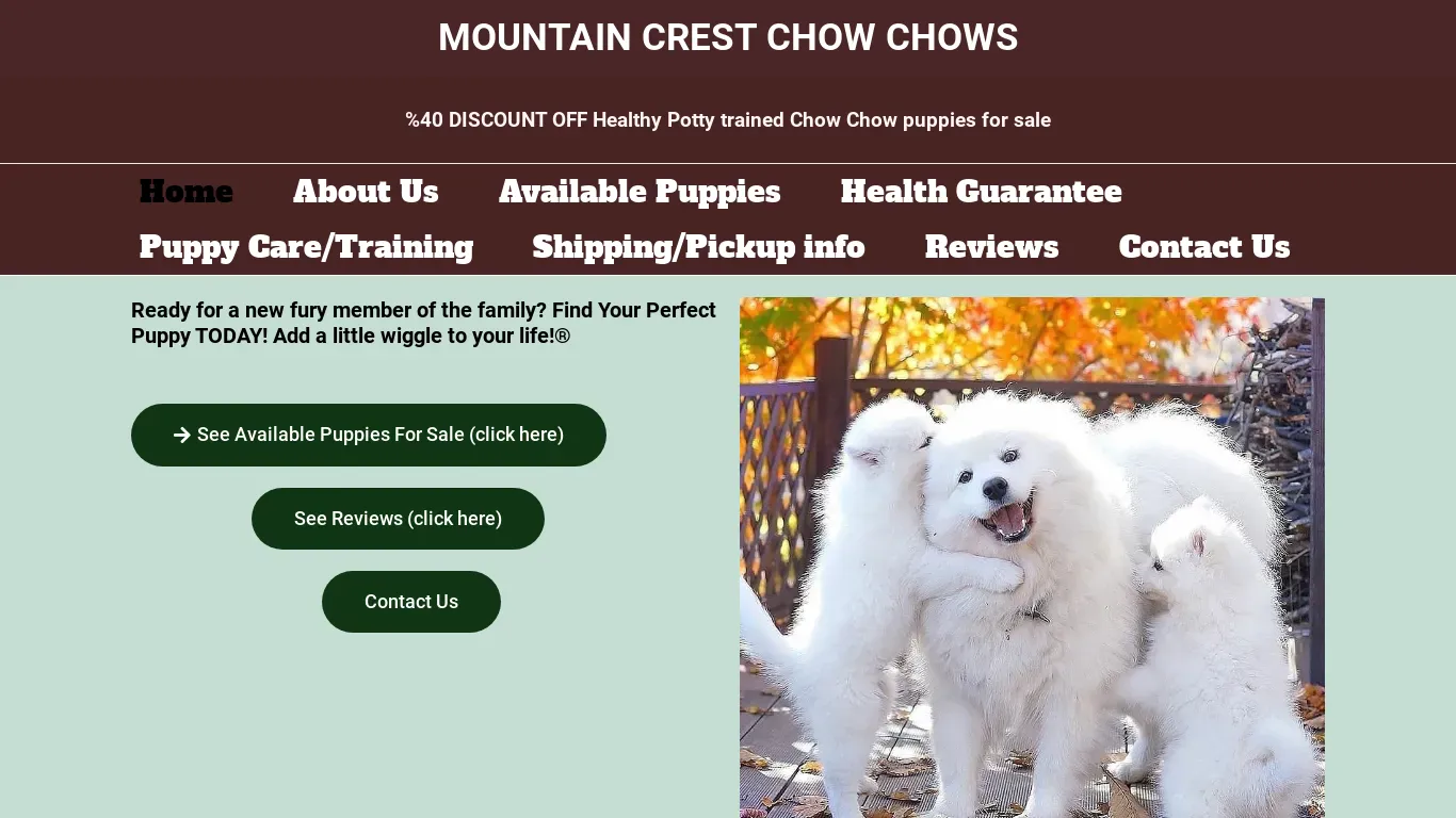 is mountaincrestchowchows.com legit? screenshot